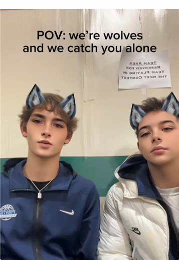 POV we’re wolves #POV #funny #joke #satire #wolf