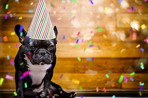 Throw a Better Party | VR Parties | VRCORE