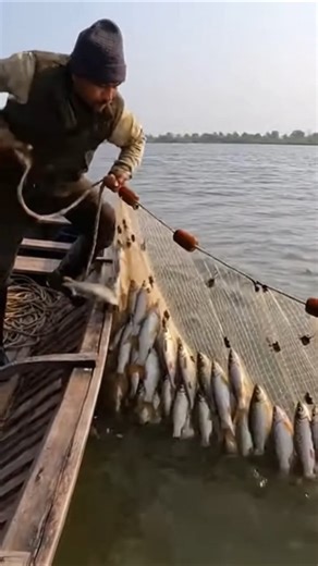 Watching the Catch from the Net #fish #catch #fishing #shorts #explore