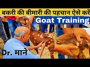बकरी की बीमारियों की पहचाना कैसे करें // Disease Diagnosis of Goat // Goat Farming Training #goat