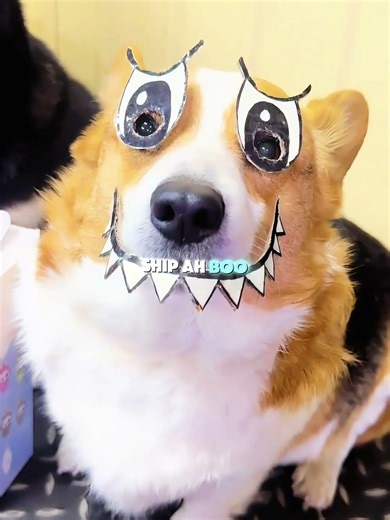 Which one of you is Labubu?