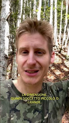 Unlock Auto Capture on the Nikon Z8: Never Miss a Shot Again!