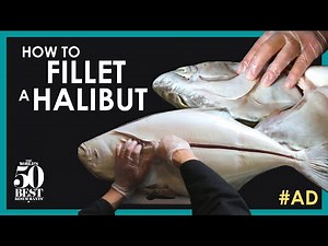 How To Fillet a Halibut