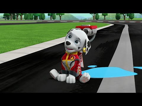 Marshall Helps The Whoosh - Paw Patrol Ready Race Rescue 2019