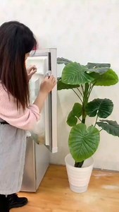 Link in my Bio👉 😍 Mold Remover Gel #moldremoval #cleaning | AK Evo Mart