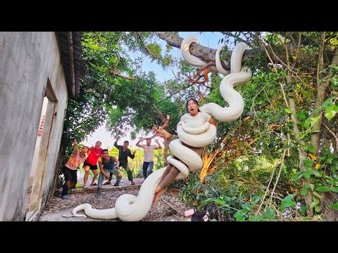 Brave Soldier Rescues Sister from Anaconda in Abandoned House
