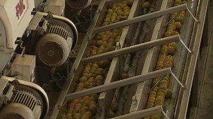 Brazil hangover to get worse with GDP data