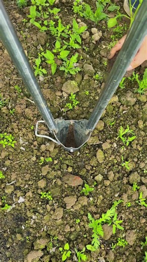 🌱⚙️ Manual Seedling Transplanter Tool for Effortless Planting #shorts