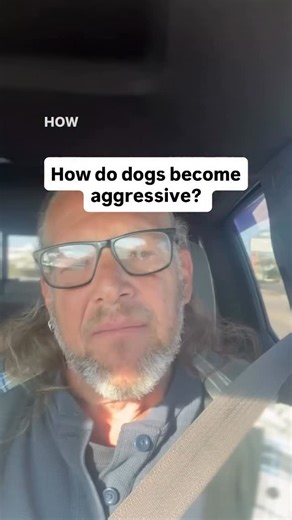 Most “aggressive” dogs aren’t abused. They’re over-loved. Over-permitted. Over-indulged. Freedom without structure doesn’t create a happy dog… It creates an anxious, pushy, unsafe one. What people mistake for “unconditional love” is usually just lack of leadership. And that’s exactly how you accidentally create a dangerous dog. Love your dog. But also set rules and be their leader… Structure builds trust. Accountability builds safety. Training builds freedom. Not the other way around. | Solid K9