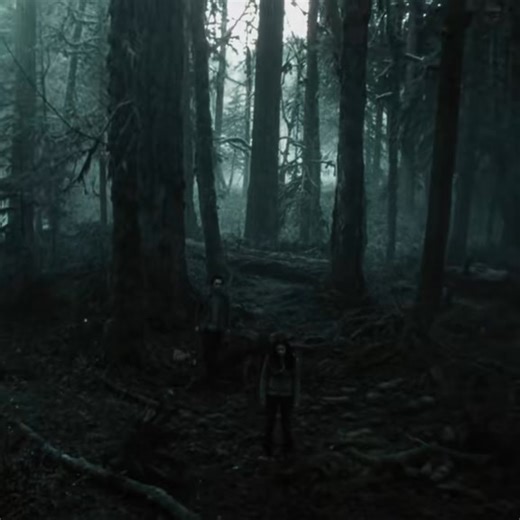 new cc || #twilight #aestheticedits #twilighttiktok #edit #fyp | Eternal Moonlight