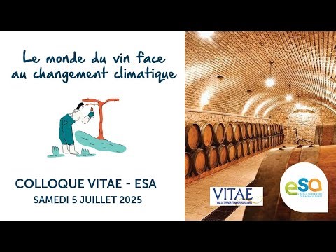 Table-ronde 1 : "Les vignerons et le changement climatique" | Colloque ESA-VITAE 2025