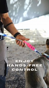 A Product Video Guide on Multi-purpose Hands Free Leash | Dog's Life