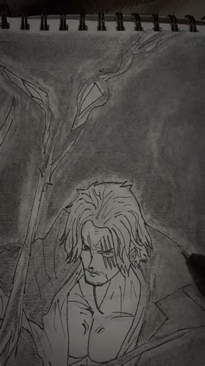 Shanks drawing 🥶#anime #funk