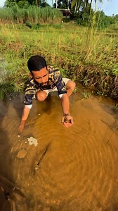 199K views · 6.3K reactions | Bukal (spring water source) sa gitna ng palayan. #springwater #pobrengtagabukid #bukidfeels #probinsyanangbisaya | Solomon Pagunsan | Facebook