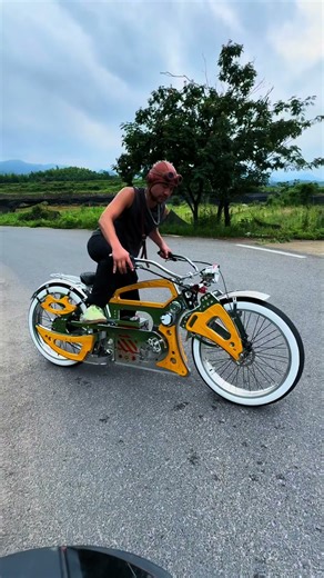 High End Custom Built Cruiser Bike Showboat Hot