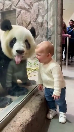 Panda Makes Funny Faces to Make Little Kid Laugh | Cutest Zoo Moment Ever! 😂❤️ #cutebaby #cute