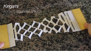 9.6K views · 260 reactions | Graphene is a one-atom thick...