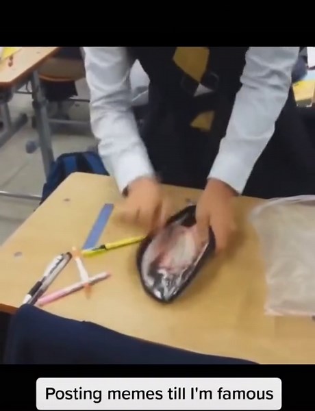 Creative Classroom Memes with Fish Model