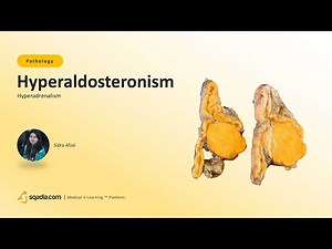 Hyperadrenalism | Hyperaldosteronism | Medical Student Pathology Education