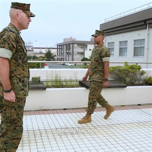 Before The Corps on Instagram: "UNICORN. Ever seen a Chief Warrant Officer 5? They are known as unicorns because there are less than 100 in the Marine Corps. There are Warrant Officers in all niche MOS fields such as Recruiting, Band, Embarkation, EOD, Bulk Fuel, Engineer and Utilities Equipment, Motor Transport Maintenance, Aircraft Maintenance, Legal, and more. . These Marines apply at the rank of SSgt for Selection, attend the Warrant Officer Basic Course at The Basic School, spend their firs