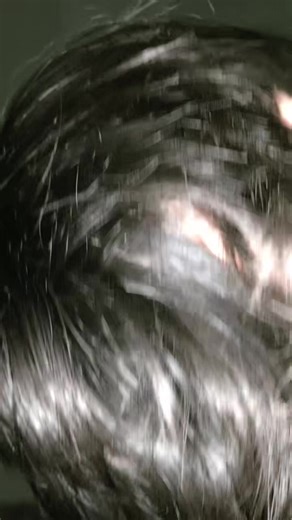 Understanding Cat Behavior and Emotions