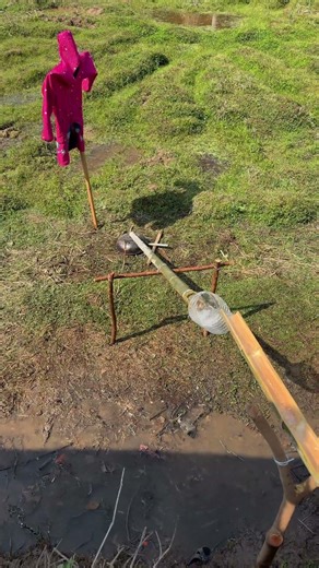 Zero Cost! Farmers Make Bird Repellent with Lever & Water, Protect Farms 24/7