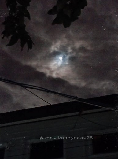 Li'sar Rose on Reels