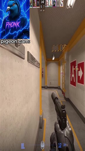 Pigeon Cam Adventures in CS2