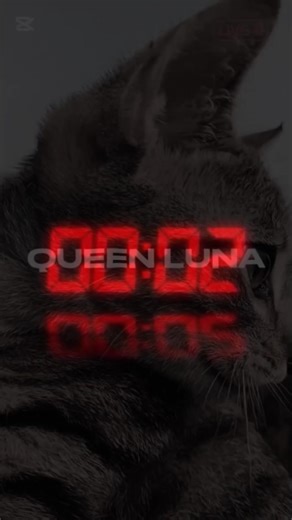 OMG!🤯..Queen luna on Netflix 🍿| Sat/11/2026