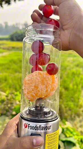 Mixedfruit juice in mini blender #reels #viral #food #recipe #juice | Foodsflavour