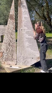 550K views · 11K reactions | The Giardino Sonoro - Pinuccio Sciola in...