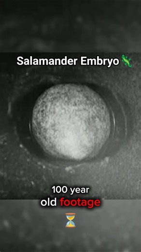 100-Year-Old Video Shows How Life Begins 👀 #biology #science