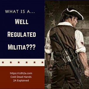 With regard to the "well regulated militia" at the heart of most Anti-2A arguments. We don't ignore or shy away from that at all. As Jefferson said, "On every question of construction carry ourselves back to the time when the Constitution was adopted, recollect the spirit manifested in the debates and instead of trying what meaning may be squeezed out of the text or invented against it, conform to the probable one in which it was passed." When it was passed, "well regulated" was in common use, w