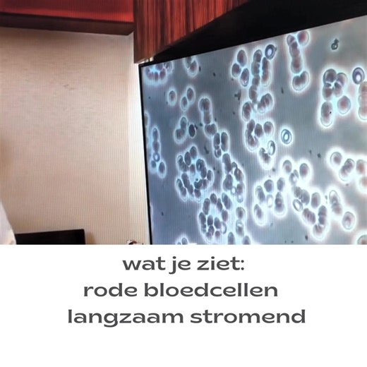 Clint Ober, herontdekker van aarden en ontdekker van binnenshuis aarden met geleidende aardingsproducten werkte nauw samen met cardioloog Stephen T. Sinatra. Op hun ontdekkingsreis naar de werking van het fysiek verbonden zijn met de aarde werden ze co-schrijvers van het boek “Earthing, je lichaam aarden” . Cardioloog Stephen Sinatra was al langere tijd bezig met de grootste oorzaak van hartklachten, nl chronische ontstekingen en had al jaren onderzoek gedaan naar antioxidanten voordat hij Clint