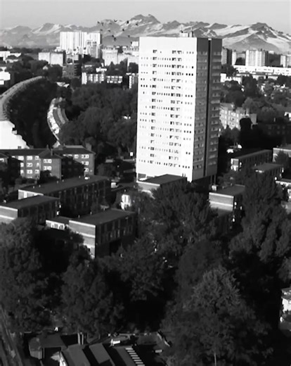 3.5K views · 784 reactions | Foals on Reels | Facebook