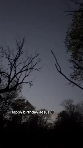 Chasing Beautiful Birds