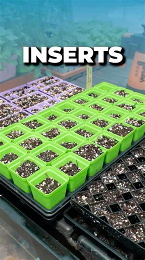 How to Choose the Right Insert