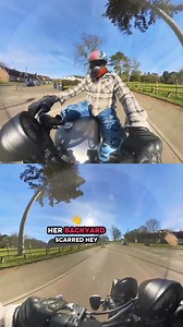 79 reactions · 13 shares | My big zucchini (cucumber) 勒 (sample release) #bikelife #biker #fyp #cucumber #zucchini #vegetables #song #gardening #foodie #food | Liam Ebanks | Facebook