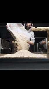 83K views · 1.1K reactions | ¿No es esto arroz?  #arroz #rice #animals #larva #superreels #curiosidades | Janiellsonof | Facebook