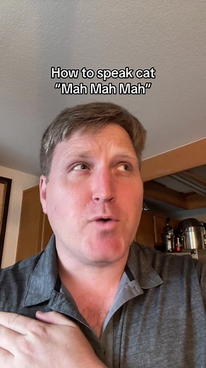 Learn How to Speak Cat Easily | Cat Language Tutorial