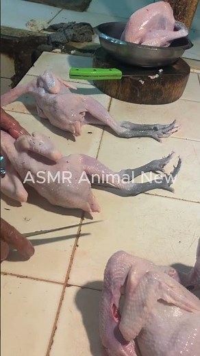 Step by Step: Cleaning Chicken the Easy Way