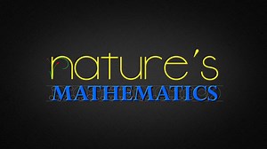 Nature's Mathematics - Episode 2