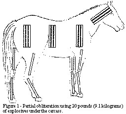 HOWTO: "Obliterating Animal Carcasses With Explosives"