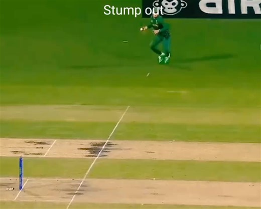 Top Cricket Stump Outs You Need to See