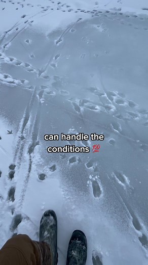 From below freezing to over 80°, these Performance Alpaca Socks keep my feet comfortable in any condition. | Hollow Alpaca Socks