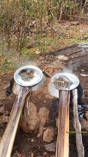 Tribal Healthy Lifestyle | Peaceful Tribal Life in Hills | Raagi thopa with chicken | #tribalculture