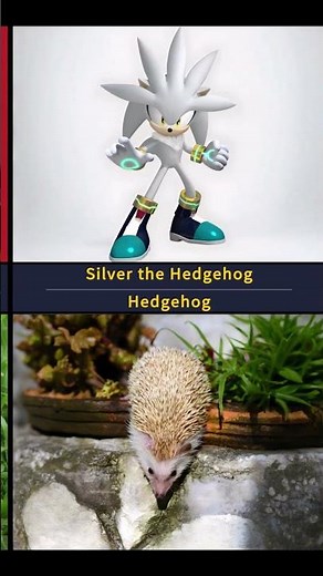 The Real-Life Inspirations Behind Sonic the Hedgehog Characters #sonichedgehog #charactersinreallife