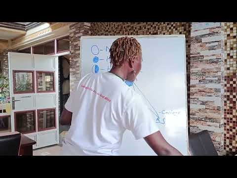 Inheritance Patterns in Sickle Cell