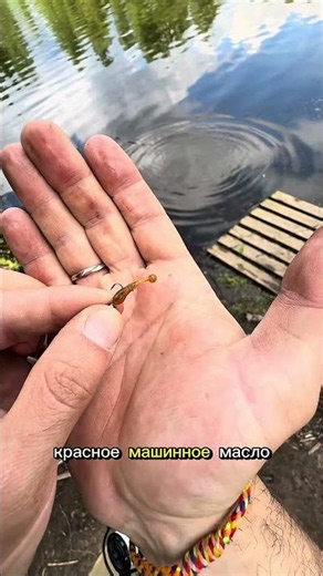 Perch really love this lure #fishing #perch