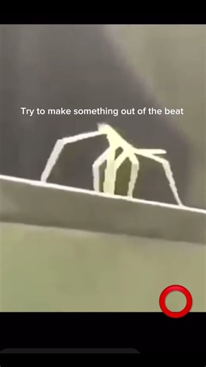 #music #beats #memes #remix #fyp #fypyoutube